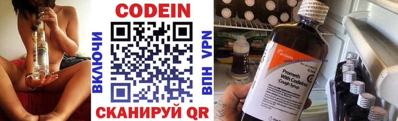 где можно купить наркотик  MEGA маркетплейс  Кодеиновый сироп Lean напиток Lean (лин)  Кизилюрт 