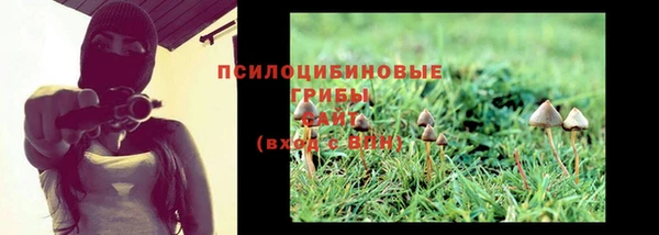 кокс Алзамай