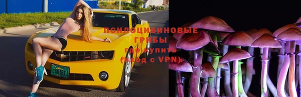 ГАЛЛЮЦИНОГЕННЫЕ ГРИБЫ Абаза
