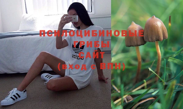 apvp Абинск