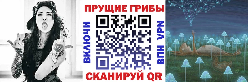 Галлюциногенные грибы GOLDEN TEACHER  наркота  мега как зайти  Кизилюрт 